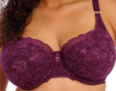 Elomi Brianna Half Cup Plunge Bra Blackberry