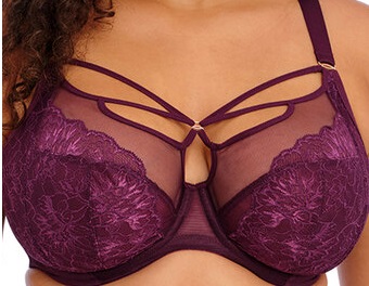 Elomi Brianna Plunge Bra Berry