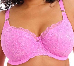 Elomi Brianna Padded Plunge Bra Very Pink