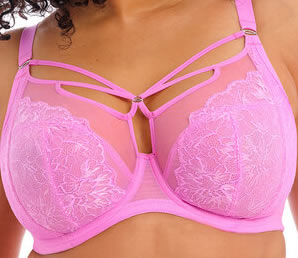 Elomi Brianna Plunge  Bra Very Pink