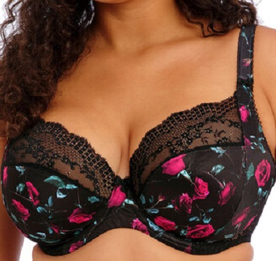 Elomi Lucie Plunge Bra Rock N Rose