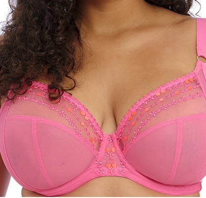 Elomi Matilda Plune Bra Wild Cherry