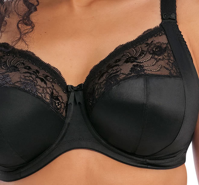 Elomi Morgan Plunge Bra Black