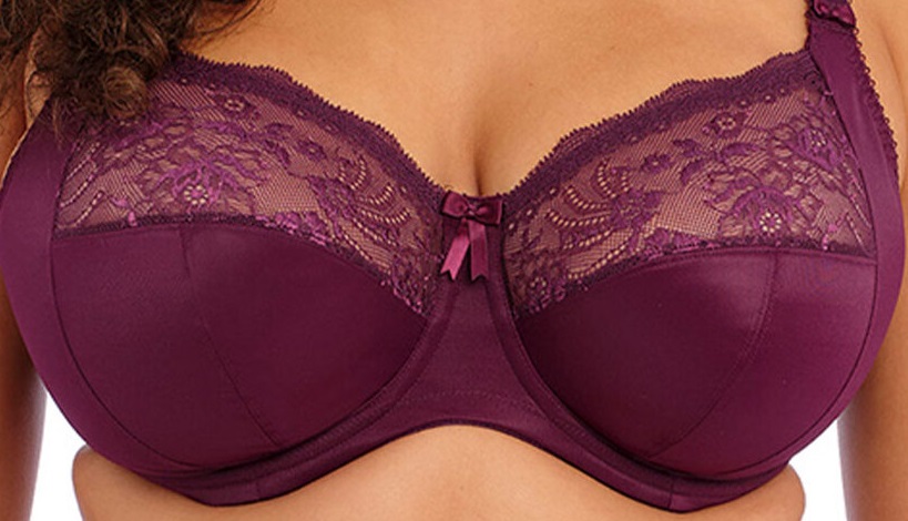 Elomi Morgan Plunge Bra Blackberry 