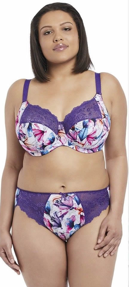 elomi Morgan Bra Brief Set Purple