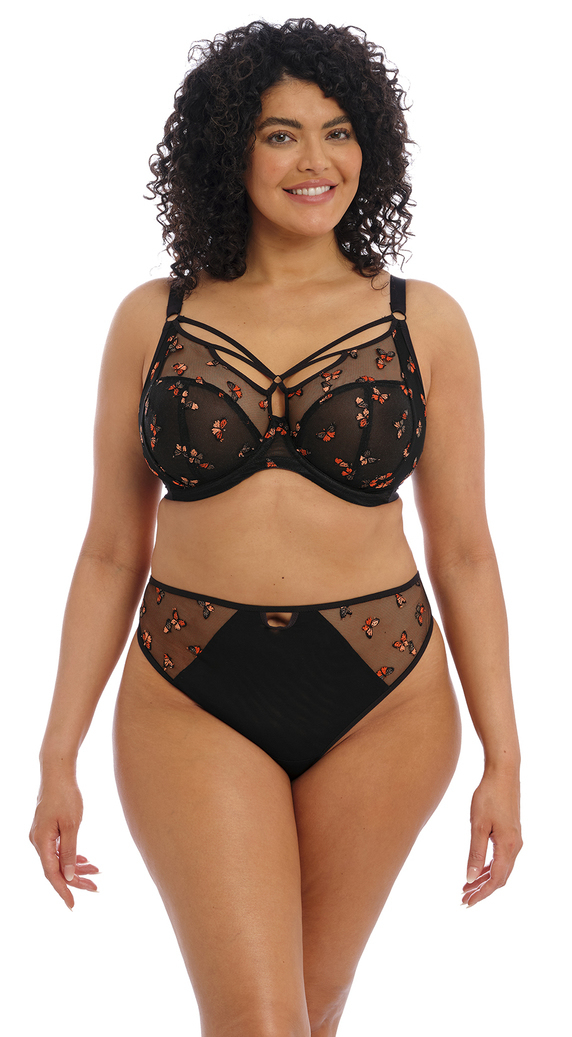 Elomi Sachi Plunge Bra Thong Set Buttefly Black