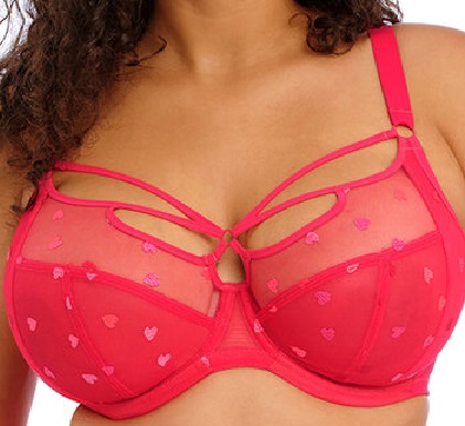 Elomi Sachi Plunge Bra Red Confetti