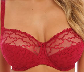 Fantasie Ana Side Support Bra Pant Red