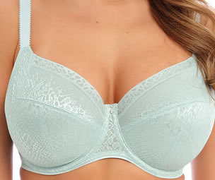 Fantasie Envisage side support Bra Ice