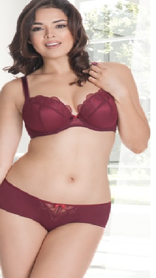 Curvy Kate Kitty Padded Plunge Bra Merlot